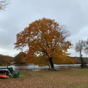 Meet your Posher, Owen